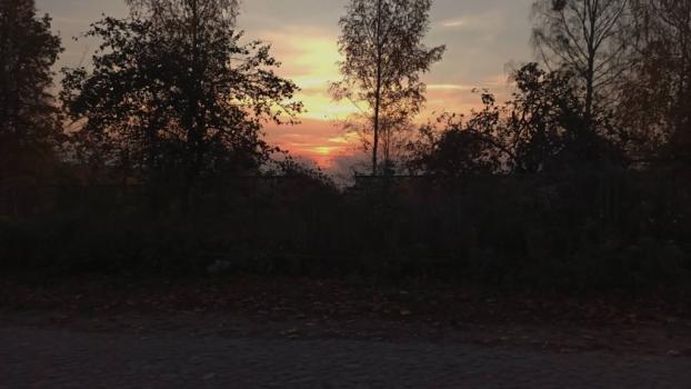 image0000066
