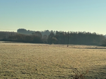 IMG-20250413-WA0009