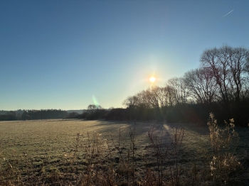IMG-20250413-WA0012