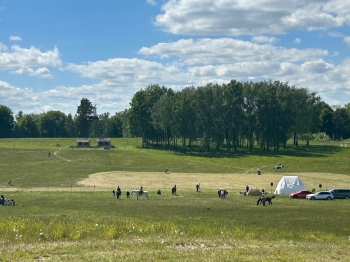 IMG-20250611-WA0023