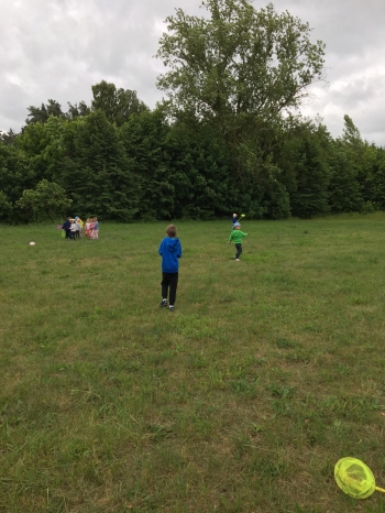 IMG-20250617-WA0019#1