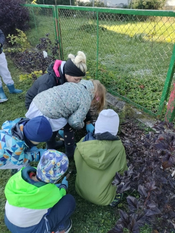 PHOTO-2025-10-04-08-05-40 2