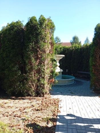 PHOTO-2025-10-11-17-24-45 2