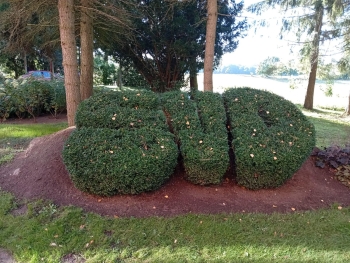 PHOTO-2025-10-11-17-24-45 22