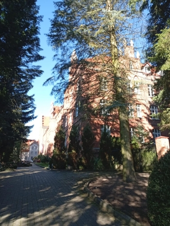 PHOTO-2025-10-11-17-25-03