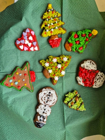 FB_IMG_1770149931220