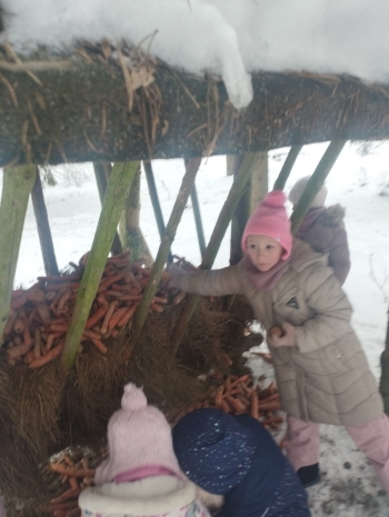 PHOTO-2026-02-06-14-00-24 5