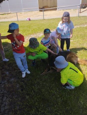 PHOTO-2026-06-10-19-15-21 5
