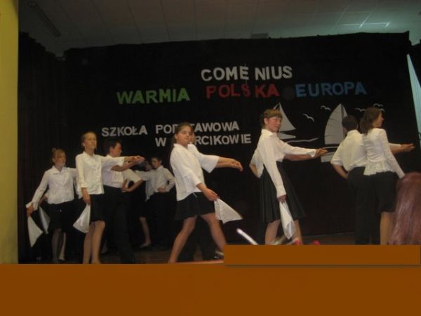 Działania Comeniusa w roku szkolnym 2008/2009