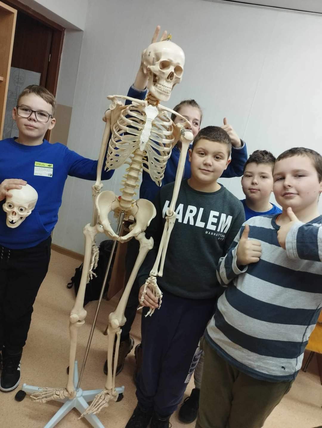 Klasa czwarta uczy się budowy szkieletu 