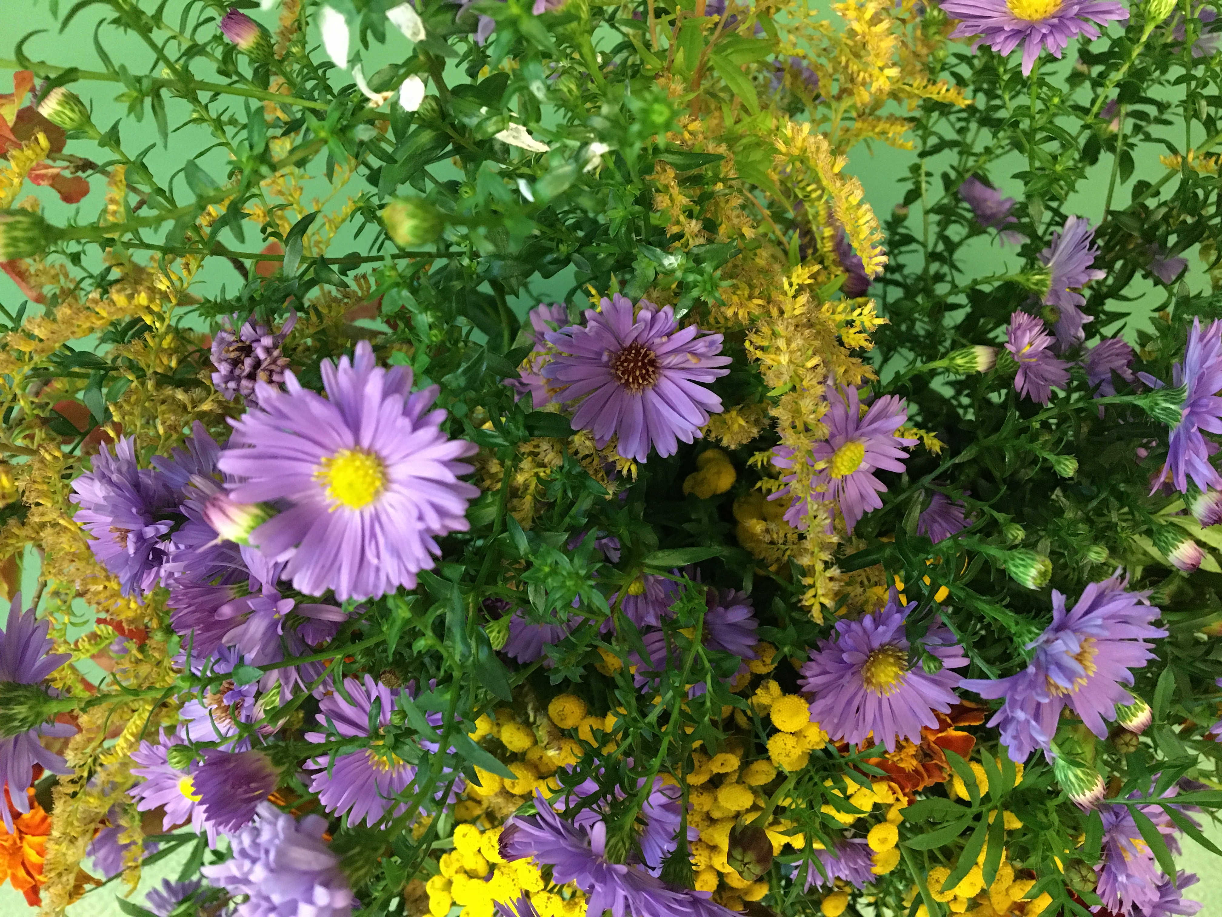 Dzień Edukacji Narodowej