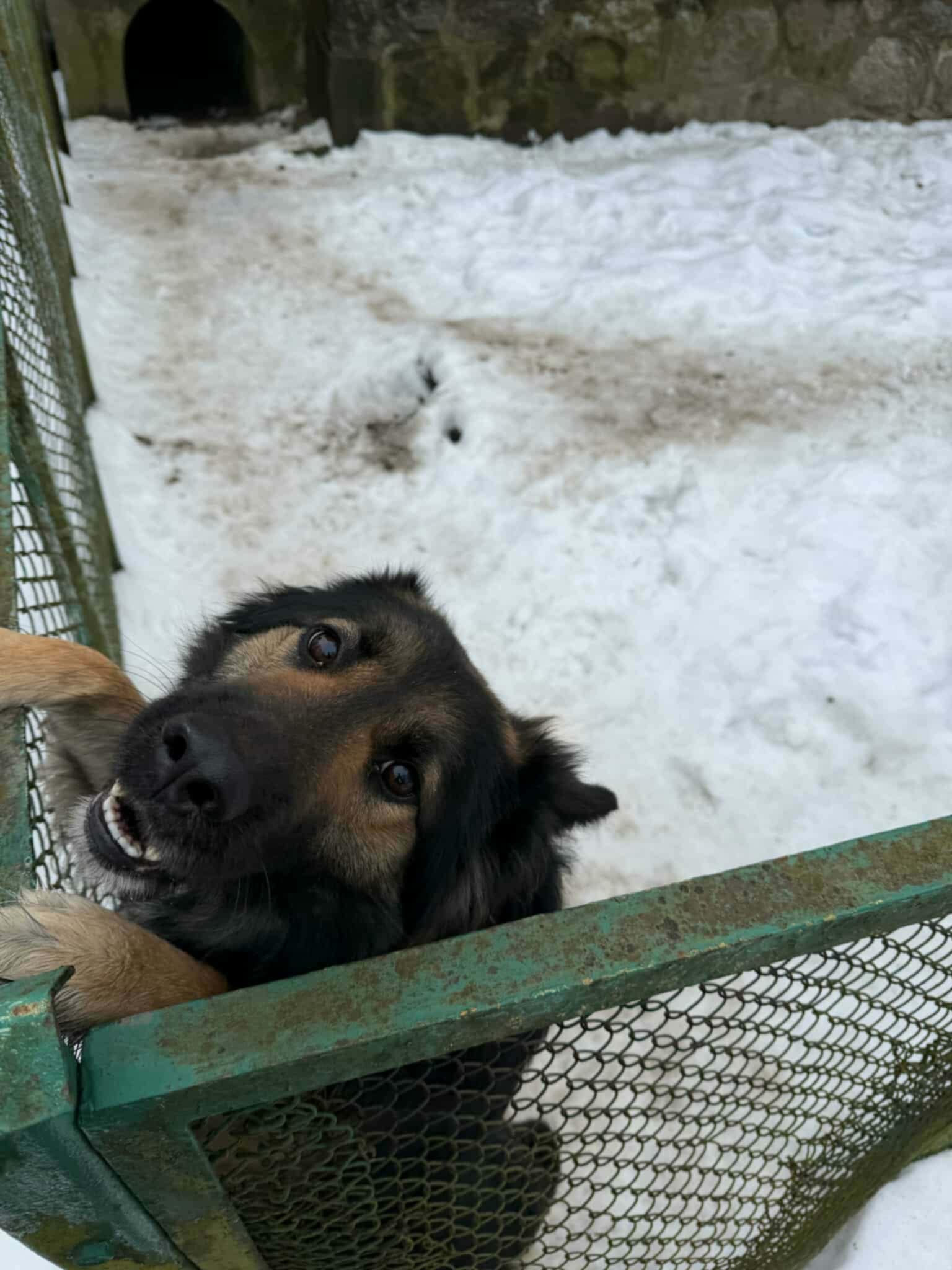 Tonik zamieszkał w Barcikowie
