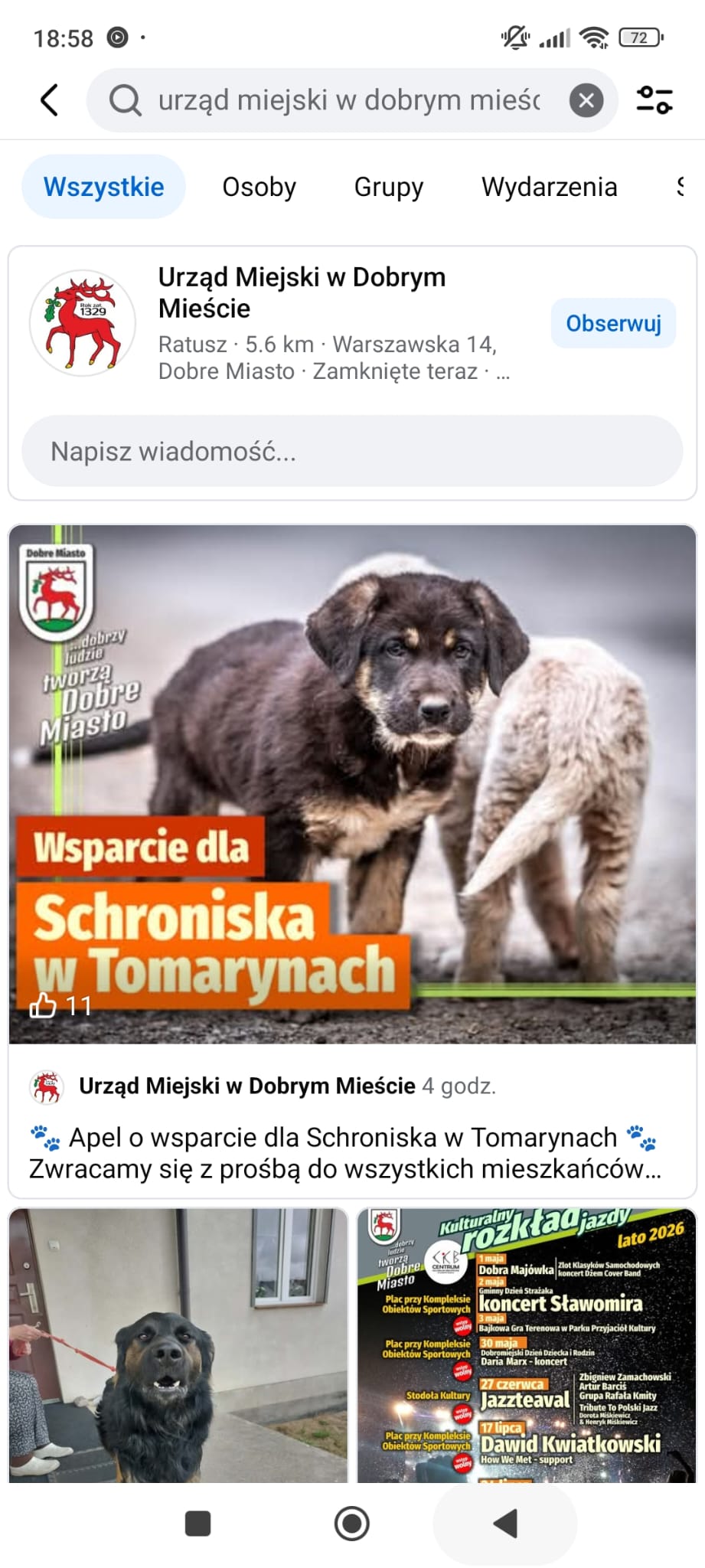 Wsparcie dla Schroniska w Tomarynach, czyli uwalniamy naszą wrażliwość