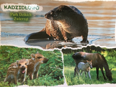 Z wizytą w Kadzidłowie